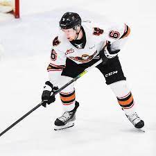 Hockey has had some great nicknames over the years, from ones that are simple and fitting (the great one), to some that are just a perfect play on a player's actual name (pickles). Luke Prokop An N H L Prospect Announces He S Gay The New York Times