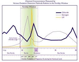 Fertility Fertility Diagram Fertility Chart