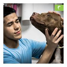 Más que amor, pasión...