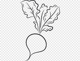 27 april 201619 maret 2015 oleh miftahul yahyadanusa. Bunga Hitam Putih Gambar Sayur Desain Bunga Kartun Seni Garis Kembang Kol Wortel Kartun Hitam Dan Putih Cabang Png Pngwing