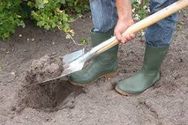 Check spelling or type a new query. Einen Schweren Boden Im Garten Verbessern Garten Ratgeber Net Garten Tipps Fur Hobbygartner