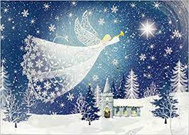 Add to favorites add to compare. Tidings Of Joy Deluxe Boxed Holiday Cards Christmas Cards Greeting Cards Peter Pauper Press Inc 9781441330215 Amazon Com Books