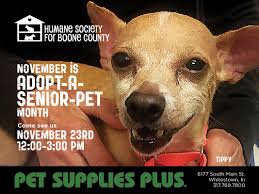 Review our adoption and other local events within the greater cincinnati, ohio area to adopt or rescue a new cat or kitten today. Adoption Events Humane Society For Boone County