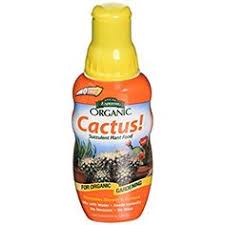 Organic cactus and succulent soil mix. 21 Supplies Ideas Planting Succulents Planting Flowers Succulent Soil