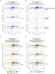 Bubble Plot Representation Of Transcription Factor Binding Sites Around Download Scientific Diagram