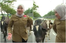 Kepala lembu mantai negeri sembilan pkp fasa 3 2020. Ohbulan Laman Socialtainment No 1 Malaysia Part 1120