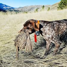 Hours may change under current circumstances Rnr Rv Home Facebook