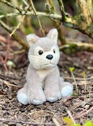 Image result for wolf cub