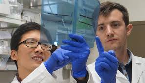 KCCure Announces Kidney Cancer Research Award of $100,000 to UNC Lineberger 