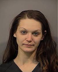 5 suspected in drug, prostitution ring near Merrillville High School