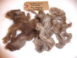 Their undercoat is perfect for spinning. Wool Tribulations Of Hand Spinning And Herbal Dyeing Hand Spinning Camel And Qiviut