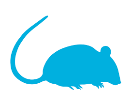 Termite and pest control companies generally offer a range of different services. Firststrike Soft Bait