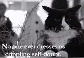 Henri Le Chat Noir Henri The Cat Le Chat Noir Curious Cat