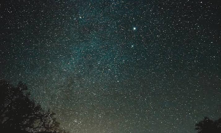 Finding the North Star » Wilderness Awareness School