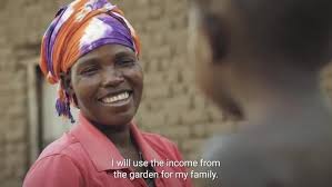 🌳 "I used to only grow millet, corn...