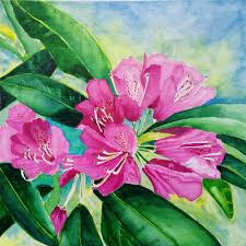 Watercolor cards watercolor print watercolor flowers watercolor paintings watercolours color pencil art china painting arte floral watercolor landscape. Rhododendron Watercolour Karen Smith