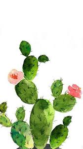 Multiple sizes available for all screen sizes. Watercolor Cactus Phone Wallpaper