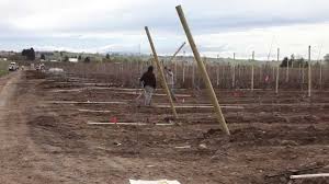 Reach new audiences around the world with the orchard. Planting A Modern Orchard Youtube