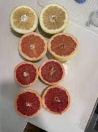 Image result for Grapefruit