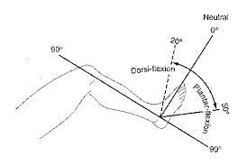 image result for measuring plantar flexion with goniometer