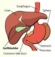 The New Year Is The Perfect Time For A Health Refresh Older Mommy Still Yummy Gallbladder Surgery Gallbladder Surgery Diet Gallbladder