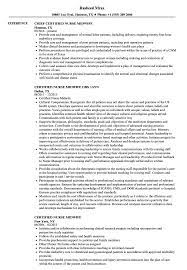 Jobindex is a kind of job search engine that searches through job ads from over 500 job databases and sites in denmark, including jobnet. Certified Nurse Midwife Resume Samples Velvet Jobs