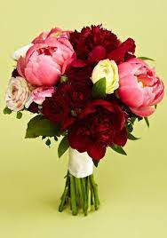 Peonies Pronunciation Peonies Beautiful Bouquet Coral Peonies Floral Studio