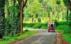 30 Places To Visit In Coorg Tourist Places Top Attractions Tourist Places Places To Visit Cool Places To Visit