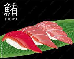 マグロ3種（赤身・中トロ・大トロ）の寿司のリアルイラスト｜握り寿司 Stock Vector | Adobe Stock