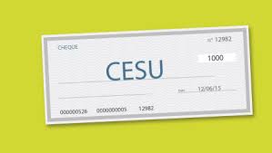 L'emploi d'une assistante maternelle agréée ou d'un salarié pour une garde d'enfants à domicile n'est pas concerné par le cesu déclaratif. Le Cesu Pour Payer Les Services A La Personne La Finance Pour Tous