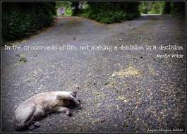 Something To Think About Cat Behavior Cat Quotes Cats