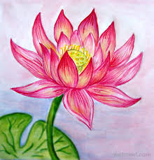 45 Beautiful Flower Drawings And Realistic Color Pencil Drawings Learn how to draw a bunch of flowers with this easy step by step flower bouquet drawing tutorial! webneel com