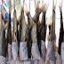 來自udn 聯合新聞網有關「WHO Salted fish, Chinese-style」的媒體圖像