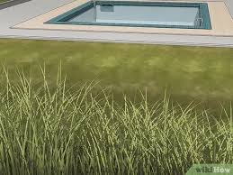 Do you intend to keep your duck safe until. 3 Ways To Keep Ducks Out Of A Pool Wikihow