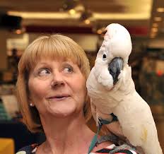 Take a look inside the Think Parrot Show