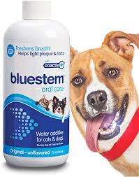 Maybe you would like to learn more about one of these? Amazon Com Freshens Dog And Cat Breath Safe And Effective Dental Water Additive Reduces Plaque And Tartar Vet Recommended Simply Add To Water 17 Ounce Original Pet Supplies