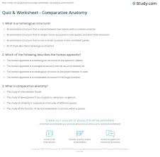 Quiz Worksheet Comparative Anatomy Study Com