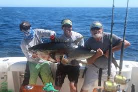 marlin fever cabo mexico coastal angler the angler magazine