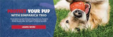 Welcome to southeast pet hospital we do house calls. Animal Medical Center Of Southern California Home Facebook