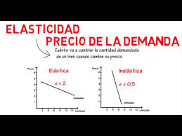 Respuesta de un producto a un cambio en su precio,esta puede. Elasticidad De La Demanda Cap 6 Microeconomia Youtube