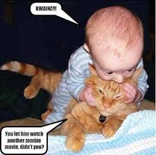Image result for funny pics of animals