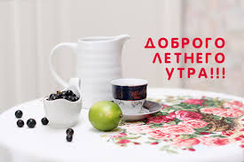 Доброе утро — летние картинки с котятами. Otkrytki Dobroe Utro Otkrytki S Pozhelaniem Dobrogo Utra Letnie Letnej Tematiki