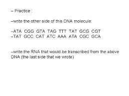 This is the same way the cell. Chapter 8 From Dna To Proteins Dna Is