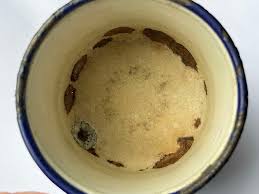 Image result for White Enamel 1918 Military