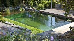 A pool with no cyanuric acid can lose all of its chlorine within just two hours. The Biotop Natural Pools Natural Pool Natural Swimming Pools Swimming Pond