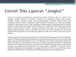 Masalahnya sedikit yang memberikan contohnya secara lengkap. Buatlah Contoh Teks Laporan Brainly Co Id