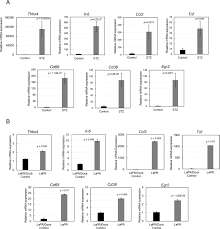 But high levels of cea do not always mean you have cancer. What Do Markers Mean In Cancer