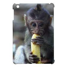 Cute Baby Macaque Monkey Eating Banana Ipad Mini Cover Zazzle Com Cute Baby Monkey Eating Bananas Monkey