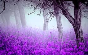 We did not find results for: Hd Fog Purple Trees Wallpapers Peakpx