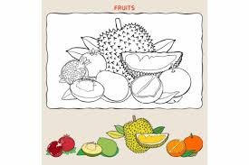 40+ tropical leaves coloring pages for printing and coloring. Coloring Page Of Tropical Fruits Graphic By Joharium Creative Fabrica